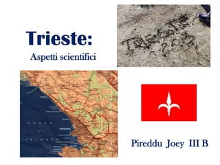 Trieste:
Aspetti scientifici

Pireddu Joey III B

 