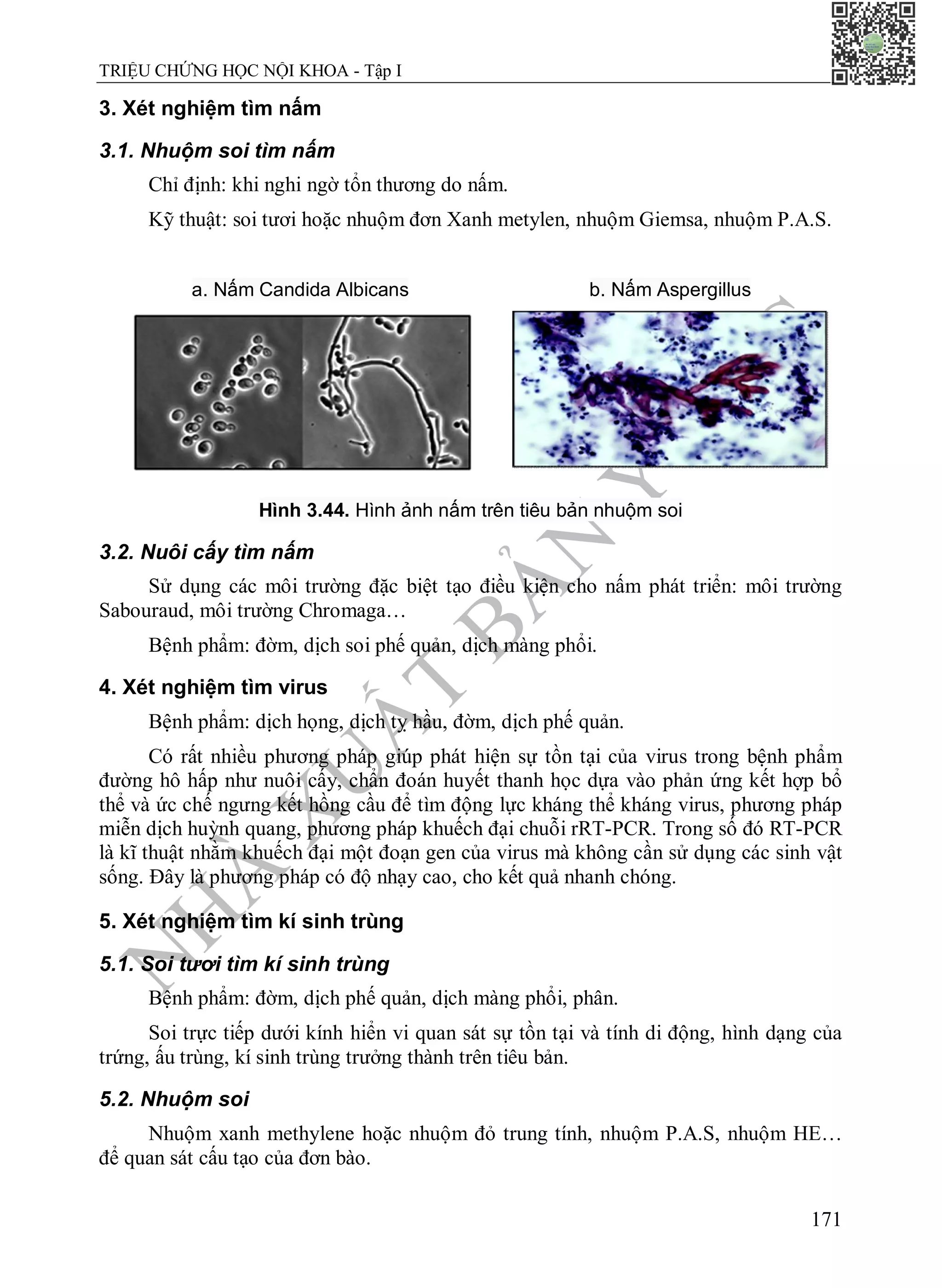 N
H
À
X
U
Ấ
T
B
Ả
N
Y
H
Ọ
C
TRIỆU CHỨNG HỌC NỘI KHOA - Tập I
171
3. Xét nghiệm tìm nấm
3.1. Nhuộm soi tìm nấm
Chỉ định: khi nghi ngờ tổn thương do nấm.
Kỹ thuật: soi tươi hoặc nhuộm đơn Xanh metylen, nhuộm Giemsa, nhuộm P.A.S.
a. Nấm Candida Albicans b. Nấm Aspergillus
Hình 3.44. Hình ảnh nấm trên tiêu bản nhuộm soi
3.2. Nuôi cấy tìm nấm
Sử dụng các môi trường đặc biệt tạo điều kiện cho nấm phát triển: môi trường
Sabouraud, môi trường Chromaga…
Bệnh phẩm: đờm, dịch soi phế quản, dịch màng phổi.
4. Xét nghiệm tìm virus
Bệnh phẩm: dịch họng, dịch tỵ hầu, đờm, dịch phế quản.
Có rất nhiều phương pháp giúp phát hiện sự tồn tại của virus trong bệnh phẩm
đường hô hấp như nuôi cấy, chẩn đoán huyết thanh học dựa vào phản ứng kết hợp bổ
thể và ức chế ngưng kết hồng cầu để tìm động lực kháng thể kháng virus, phương pháp
miễn dịch huỳnh quang, phương pháp khuếch đại chuỗi rRT-PCR. Trong số đó RT-PCR
là kĩ thuật nhằm khuếch đại một đoạn gen của virus mà không cần sử dụng các sinh vật
sống. Đây là phương pháp có độ nhạy cao, cho kết quả nhanh chóng.
5. Xét nghiệm tìm kí sinh trùng
5.1. Soi tươi tìm kí sinh trùng
Bệnh phẩm: đờm, dịch phế quản, dịch màng phổi, phân.
Soi trực tiếp dưới kính hiển vi quan sát sự tồn tại và tính di động, hình dạng của
trứng, ấu trùng, kí sinh trùng trưởng thành trên tiêu bản.
5.2. Nhuộm soi
Nhuộm xanh methylene hoặc nhuộm đỏ trung tính, nhuộm P.A.S, nhuộm HE…
để quan sát cấu tạo của đơn bào.
 