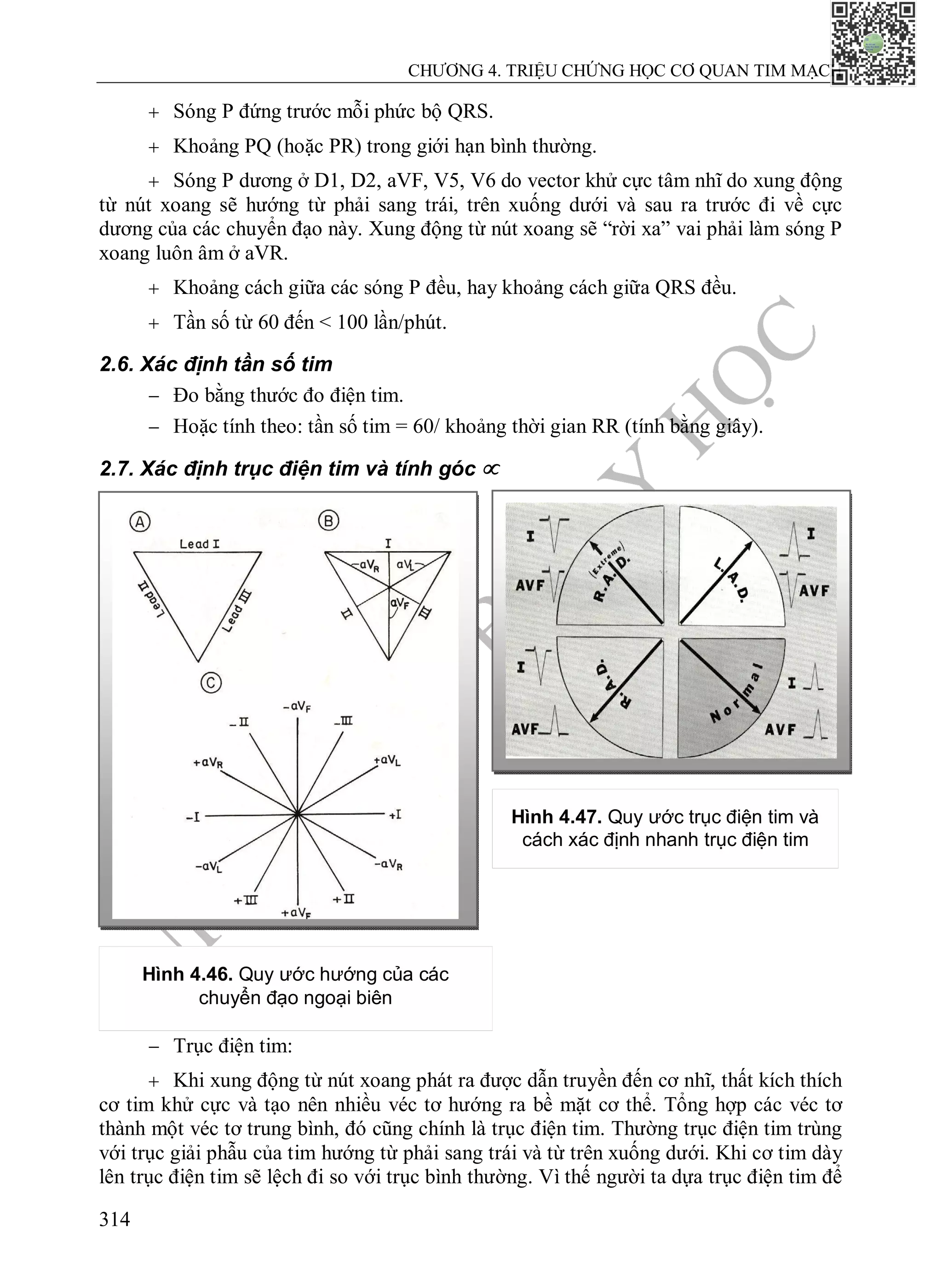 N
H
À
X
U
Ấ
T
B
Ả
N
Y
H
Ọ
C
CHƯƠNG 4. TRIỆU CHỨNG HỌC CƠ QUAN TIM MẠCH
314
 Sóng P đứng trước mỗi phức bộ QRS.
 Khoảng PQ (hoặc PR) trong giới hạn bình thường.
 Sóng P dương ở D1, D2, aVF, V5, V6 do vector khử cực tâm nhĩ do xung động
từ nút xoang sẽ hướng từ phải sang trái, trên xuống dưới và sau ra trước đi về cực
dương của các chuyển đạo này. Xung động từ nút xoang sẽ “rời xa” vai phải làm sóng P
xoang luôn âm ở aVR.
 Khoảng cách giữa các sóng P đều, hay khoảng cách giữa QRS đều.
 Tần số từ 60 đến < 100 lần/phút.
2.6. Xác định tần số tim
 Đo bằng thước đo điện tim.
 Hoặc tính theo: tần số tim = 60/ khoảng thời gian RR (tính bằng giây).
2.7. Xác định trục điện tim và tính góc 
 Trục điện tim:
 Khi xung động từ nút xoang phát ra được dẫn truyền đến cơ nhĩ, thất kích thích
cơ tim khử cực và tạo nên nhiều véc tơ hướng ra bề mặt cơ thể. Tổng hợp các véc tơ
thành một véc tơ trung bình, đó cũng chính là trục điện tim. Thường trục điện tim trùng
với trục giải phẫu của tim hướng từ phải sang trái và từ trên xuống dưới. Khi cơ tim dày
lên trục điện tim sẽ lệch đi so với trục bình thường. Vì thế người ta dựa trục điện tim để
Hình 4.46. Quy ước hướng của các
chuyển đạo ngoại biên
Hình 4.47. Quy ước trục điện tim và
cách xác định nhanh trục điện tim
 