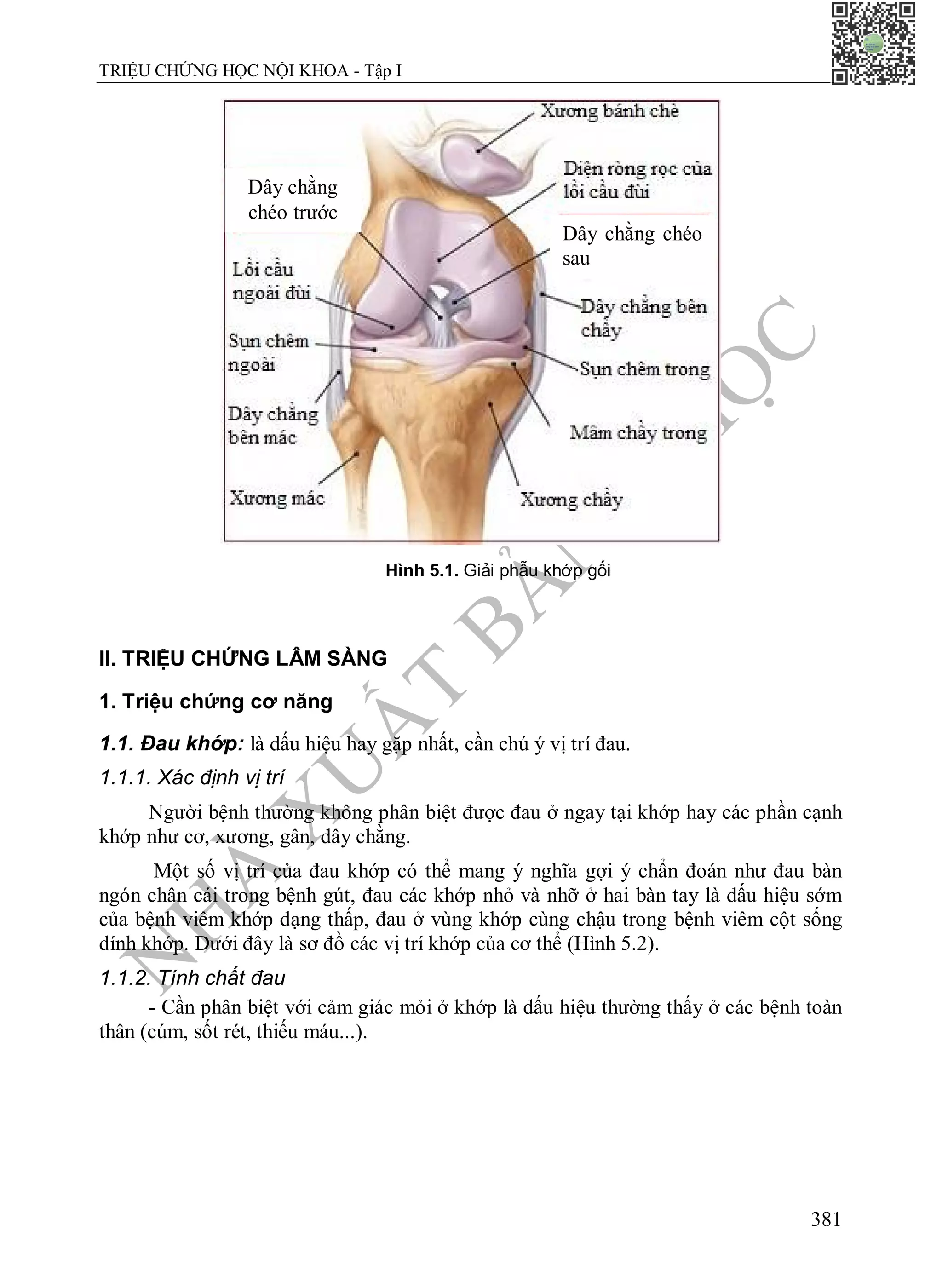 N
H
À
X
U
Ấ
T
B
Ả
N
Y
H
Ọ
C
TRIỆU CHỨNG HỌC NỘI KHOA - Tập I
381
Hình 5.1. Giải phẫu khớp gối
II. TRIỆU CHỨNG LÂM SÀNG
1. Triệu chứng cơ năng
1.1. Đau khớp: là dấu hiệu hay gặp nhất, cần chú ý vị trí đau.
1.1.1. Xác định vị trí
Người bệnh thường không phân biệt được đau ở ngay tại khớp hay các phần cạnh
khớp như cơ, xương, gân, dây chằng.
Một số vị trí của đau khớp có thể mang ý nghĩa gợi ý chẩn đoán như đau bàn
ngón chân cái trong bệnh gút, đau các khớp nhỏ và nhỡ ở hai bàn tay là dấu hiệu sớm
của bệnh viêm khớp dạng thấp, đau ở vùng khớp cùng chậu trong bệnh viêm cột sống
dính khớp. Dưới đây là sơ đồ các vị trí khớp của cơ thể (Hình 5.2).
1.1.2. Tính chất đau
- Cần phân biệt với cảm giác mỏi ở khớp là dấu hiệu thường thấy ở các bệnh toàn
thân (cúm, sốt rét, thiếu máu...).
Dây chằng
chéo trước
Dây chằng chéo
sau
 
