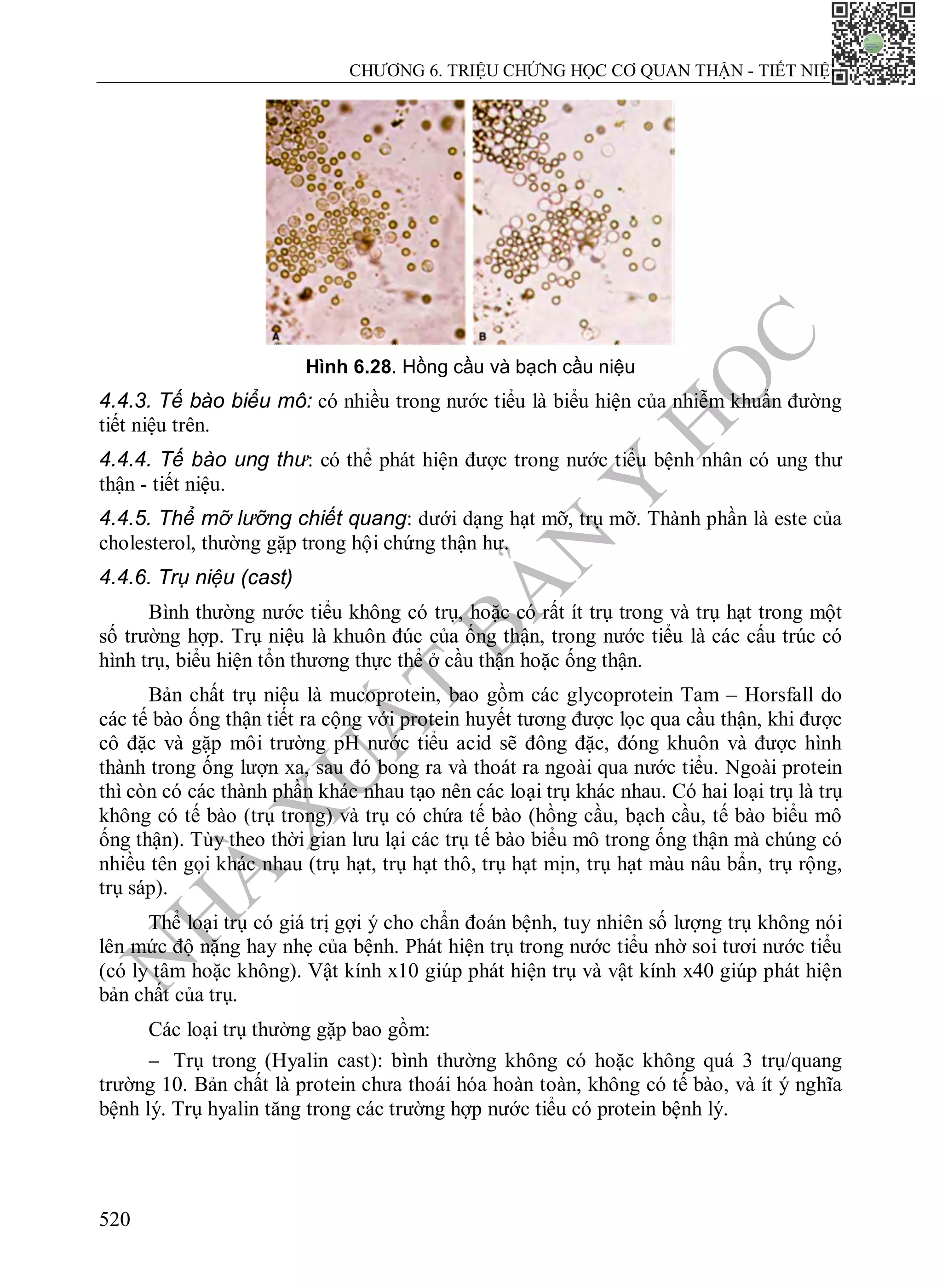 Triệu chứng học nội khoa đh y Hà Nội 