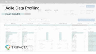 Agile Data Profiling
Sean Kandel
 