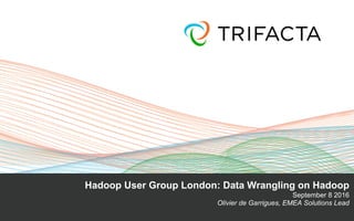 Hadoop User Group London: Data Wrangling on Hadoop
September 8 2016
Olivier de Garrigues, EMEA Solutions Lead
 
