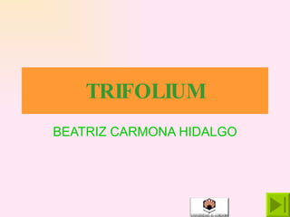 TRIFOLIUM BEATRIZ CARMONA HIDALGO 