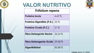 VALOR NUTRITIVO
Trifolium repens
Proteína bruta

4,69 %

Proteína Digestible (P.D.) 25 %
Proteína Cruda (P.C.)

21 %

Fibra Detergente Neutra 36,54 %
Fibra Deteregente Ácida 29,08 %
Digestibilidad

85,88 %
Fuente: Moore, G. (2006)

 