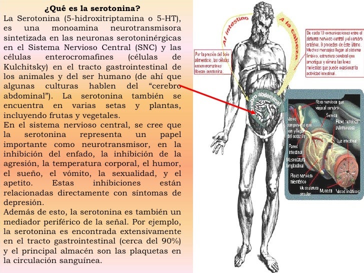 Serotonina versus Melatonina Serotonina versus Melatonina