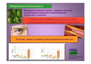 Натуральные антиоксиданты
Момордика (горький огурец) - содержит высокую
концентрацию природных антиоксидантов:
β-каротина и ликопина
 Концентрация ликопина в 70 раз превышает
содержание ликопина в томате
 Содержание бета-каротина в 10 раз выше, чем в
моркови
United States
Department of Agriculture
Report 2004
 