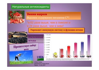 Высокое содержание витамина С*!
Пальмовые
ягоды
United States
Department of Agriculture
Report 15.08.2007
*в 62 раза выше, чем в лимоне и
в 24 раза выше, чем в киви!
Натуральные антиоксиданты
 