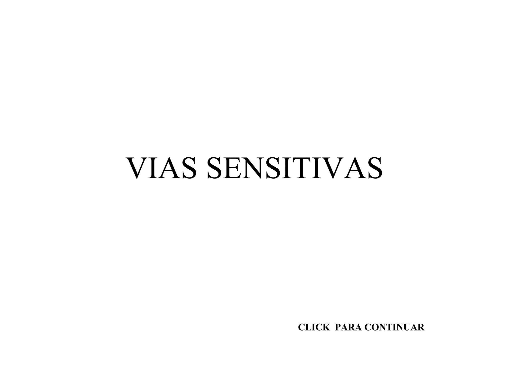 VIAS SENSITIVAS CLICK  PARA CONTINUAR 
