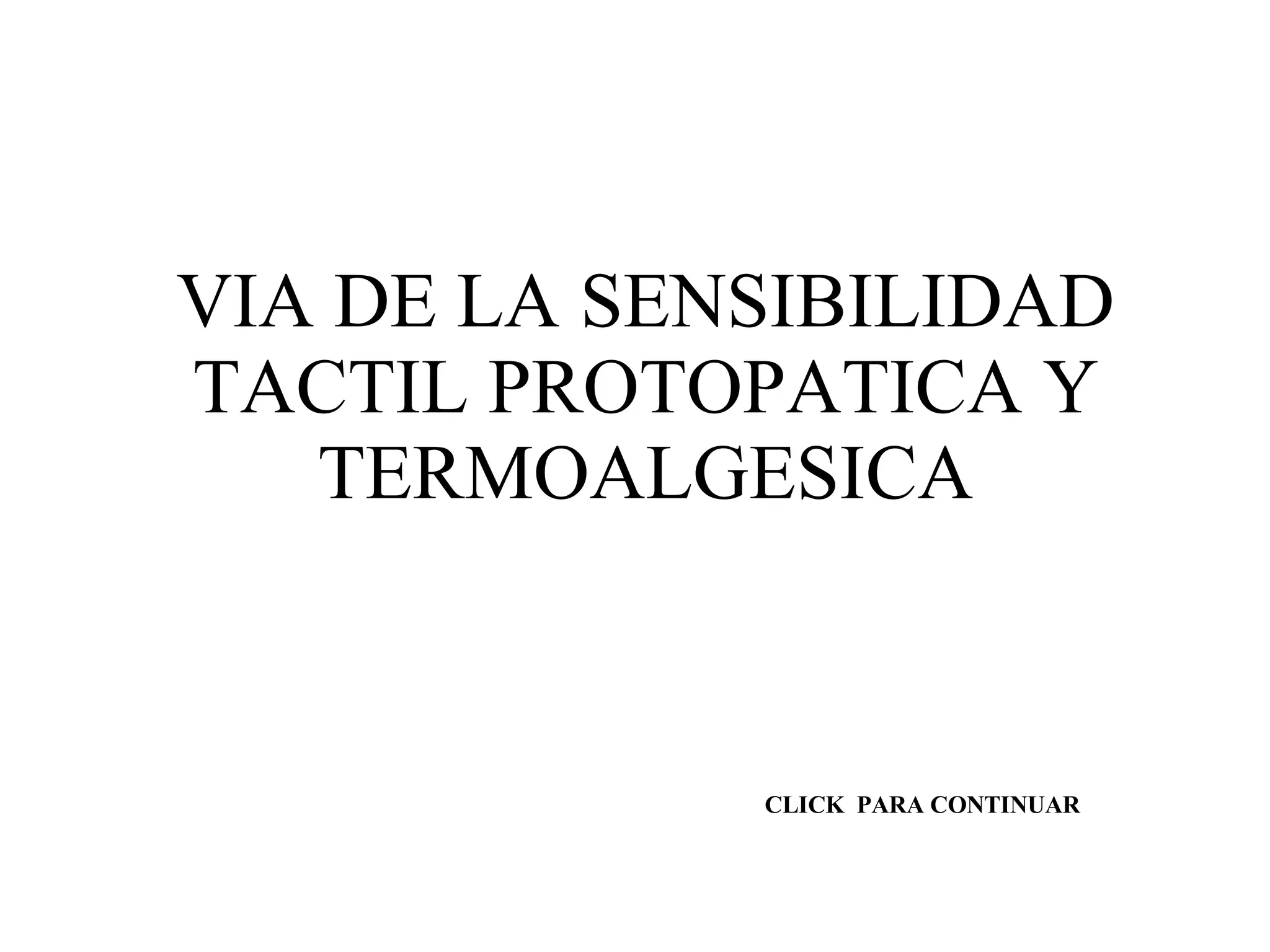 VIA DE LA SENSIBILIDAD TACTIL PROTOPATICA Y TERMOALGESICA CLICK  PARA CONTINUAR 