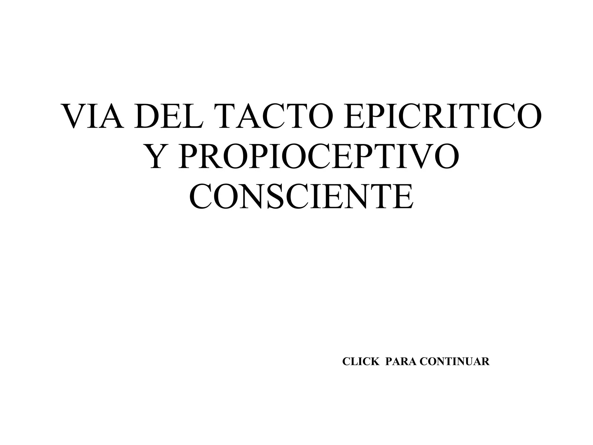 VIA DEL TACTO EPICRITICO Y PROPIOCEPTIVO CONSCIENTE CLICK  PARA CONTINUAR 