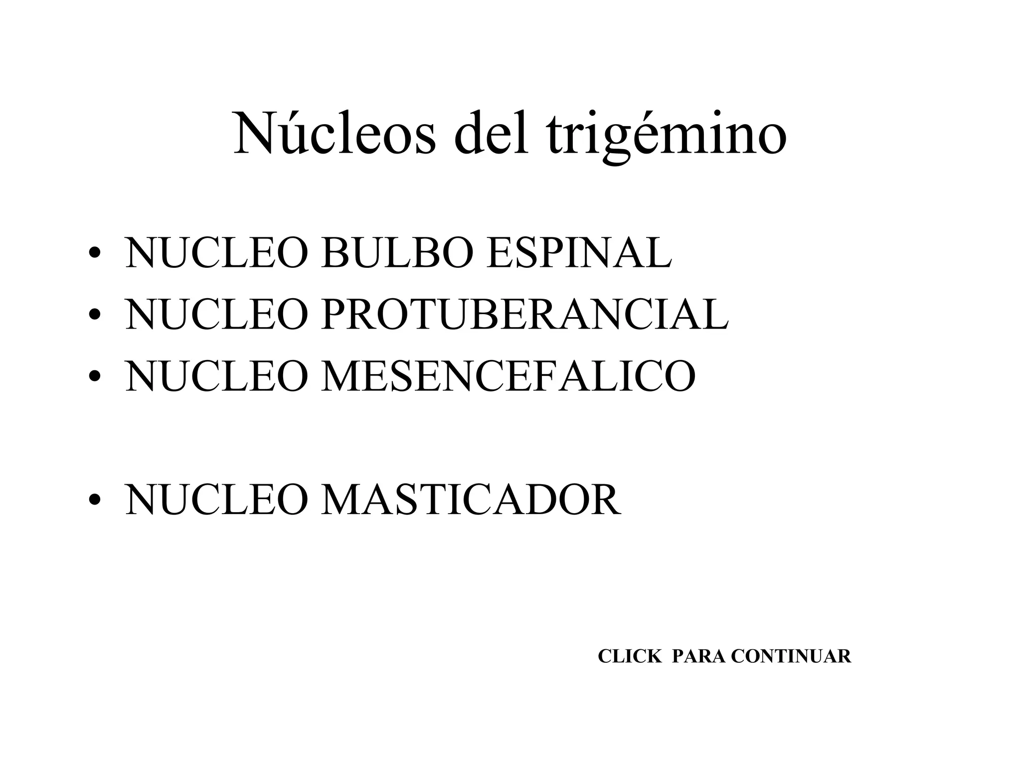 Núcleos del trigémino NUCLEO BULBO ESPINAL NUCLEO PROTUBERANCIAL NUCLEO MESENCEFALICO NUCLEO MASTICADOR CLICK  PARA CONTINUAR 