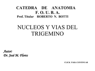NUCLEOS Y VIAS DEL TRIGEMINO CLICK  PARA CONTINUAR Autor: Dr. José M. Flores CATEDRA  DE  ANATOMIA F. O. U. B. A. Prof. Titular  ROBERTO  N.  BOTTI 