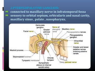 2.PTERYGOPALATINE GANGLION:
connected to maxillary nerve in infratemporal fossa
sensory to orbital septum, orbicularis and nasal cavity,
maxillary sinus , palate , nasopharynx.

 