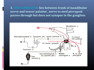 3. OTIC GANGLION: lies between trunk of mandibular
nerve and tensor palatini , nerve to med pterygoid
passes through but does not synapse in the ganglion.

 