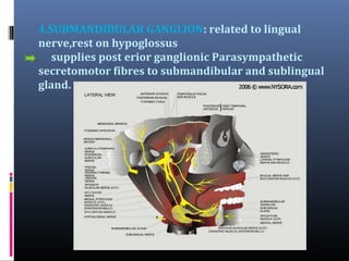 4.SUBMANDIBULAR GANGLION: related to lingual
nerve,rest on hypoglossus
supplies post erior ganglionic Parasympathetic
secretomotor fibres to submandibular and sublingual
gland.

 