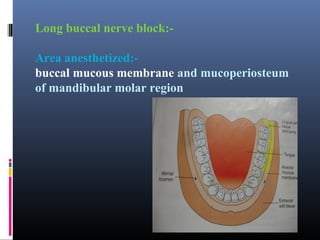 Long buccal nerve block:Area anesthetized:buccal mucous membrane and mucoperiosteum
of mandibular molar region

 