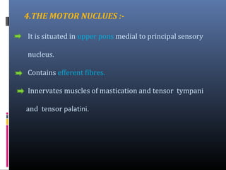 4.THE MOTOR NUCLUES :It is situated in upper pons medial to principal sensory
nucleus.
Contains efferent fibres.
Innervates muscles of mastication and tensor tympani
and tensor palatini.

 