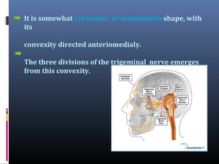It is somewhat crescentic or semilunarin shape, with
its
convexity directed anteriomedialy.
The three divisions of the trigeminal nerve emerges
from this convexity.

 