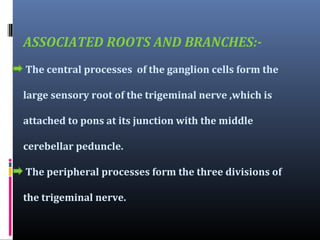 ASSOCIATED ROOTS AND BRANCHES:The central processes of the ganglion cells form the
large sensory root of the trigeminal nerve ,which is
attached to pons at its junction with the middle
cerebellar peduncle.
The peripheral processes form the three divisions of
the trigeminal nerve.

 