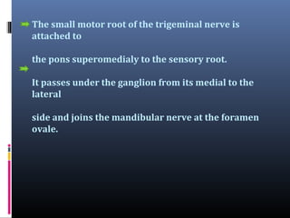 The small motor root of the trigeminal nerve is
attached to
the pons superomedialy to the sensory root.
It passes under the ganglion from its medial to the
lateral
side and joins the mandibular nerve at the foramen
ovale.

 