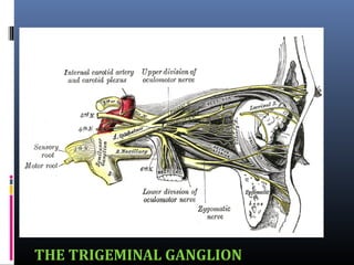 THE TRIGEMINAL GANGLION

 