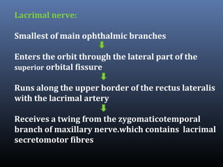 Lacrimal nerve:
Smallest of main ophthalmic branches
Enters the orbit through the lateral part of the
superior orbital fissure
Runs along the upper border of the rectus lateralis
with the lacrimal artery
Receives a twing from the zygomaticotemporal
branch of maxillary nerve.which contains lacrimal
secretomotor fibres

 