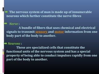 The nervous system of man is made up of innumerable
neurons which further constitute the nerve fibres
Nerve :
A bundle of fibers that uses chemical and electrical
signals to transmit sensory and motor information from one
body part of the body to another.
Neurons :
These are specialized cells that constitute the
functional units of the nervous system and has a special
property of being able to conduct impulses rapidly from one
part of the body to another.

 