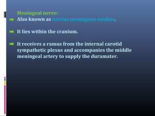 Meningeal nerve:
Also known as nervus meningeus medius.
It lies within the cranium.
It receives a ramus from the internal carotid
sympathetic plexus and accompanies the middle
meningeal artery to supply the duramater.

 
