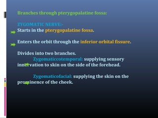 Branches through pterygopalatine fossa:
ZYGOMATIC NERVE:Starts in the pterygopalatine fossa.
Enters the orbit through the inferior orbital fissure.
Divides into two branches.
Zygomaticcotemporal: supplying sensory
innervation to skin on the side of the forehead.
Zygomaticofacial: supplying the skin on the
prominence of the cheek.

 
