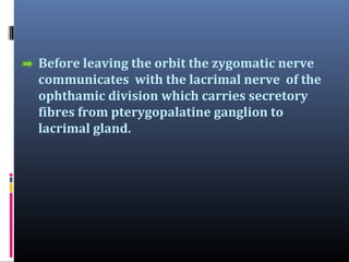 Before leaving the orbit the zygomatic nerve
communicates with the lacrimal nerve of the
ophthamic division which carries secretory
fibres from pterygopalatine ganglion to
lacrimal gland.

 