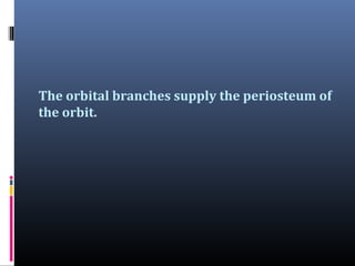 The orbital branches supply the periosteum of
the orbit.

 