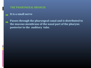 THE PHARYNGEAL BRANCH:
It is a small nerve
Passes through the pharyngeal canal and is distributed to
the mucous membrane of the nasal part of the pharynx
posterior to the auditory tube.

 