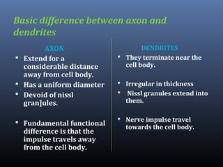 Basic difference between axon and
dendrites
AXON
 Extend for a
considerable distance
away from cell body.
 Has a uniform diameter
 Devoid of nissl
gran]ules.

DENDRITES
 They terminate near the
cell body.

 Fundamental functional

 Nerve impulse travel

difference is that the
impulse travels away
from the cell body.

 Irregular in thickness
 Nissl granules extend into

them.

towards the cell body.

 