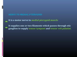 NERVE TO MEDIAL PTERYGOID
It is a motor nerve to medial pterygoid muscle
It supplies one or two filaments which passes through otic
ganglion to supply tensor tympani and tensor veli palatini.

 