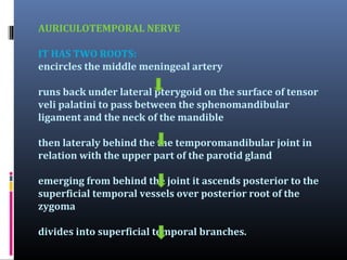 AURICULOTEMPORAL NERVE
IT HAS TWO ROOTS:
encircles the middle meningeal artery
runs back under lateral pterygoid on the surface of tensor
veli palatini to pass between the sphenomandibular
ligament and the neck of the mandible
then lateraly behind the the temporomandibular joint in
relation with the upper part of the parotid gland
emerging from behind the joint it ascends posterior to the
superficial temporal vessels over posterior root of the
zygoma
divides into superficial temporal branches.

 