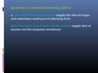 BRANCHES OF AURICULOTEMPORAL NERVE:
a) two anterior auricular branch-supply the skin of tragus
and sometimes small part of adjoining helix
b)two branches to external acoustic meatus-supply skin of
meatus and the tympanic membrane

 