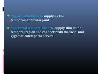 The articular branch- supplying the
temporomandibular joint
Superficial temporal branch- supply skin in the
temporal region and connects with the facial and
zygomaticotemporal nerves

 