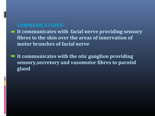 COMMUNICATIONSIt communicates with facial nerve providing sensory
fibres to the skin over the areas of innervation of
motor branches of facial nerve
It communicates with the otic ganglion providing
sensory,secretory and vasomotor fibres to parotid
gland

 