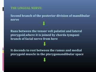 THE LINGUAL NERVE:
Second branch of the posterior division of mandibular
nerve
Runs between the tensor veli palatini and lateral
pterygoid,where it is joined by chorda tympani
branch of facial nerve from here
It decends to rest between the ramus and medial
pterygoid muscle in the pterygomandibular space

 