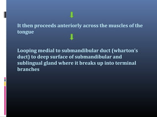 It then proceeds anteriorly across the muscles of the
tongue
Looping medial to submandibular duct (wharton’s
duct) to deep surface of submandibular and
sublingual gland where it breaks up into terminal
branches

 