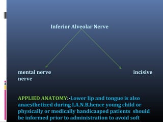 Inferior Alveolar Nerve

mental nerve
nerve

incisive

APPLIED ANATOMY:-Lower lip and tongue is also
anaesthetized during I.A.N.B,hence young child or
physically or medically handicaaped patients should
be informed prior to administration to avoid soft

 