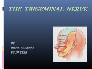 Contents:1. Introduction.
2. Structure of a nerve.
3. List of cranial nerves and its classification.
4. Embryology of trig...
