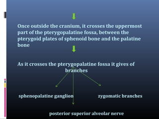 Branches through pterygopalatine fossa:
ZYGOMATIC NERVE:Starts in the pterygopalatine fossa.
Enters the orbit through the ...