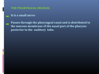 BRANCHES OF THE MANDDIBULAR NERVE:
MANDIBULAR NERVE
Undivided nerve

Divided nerve

Anterior
Posterior
division
division

 