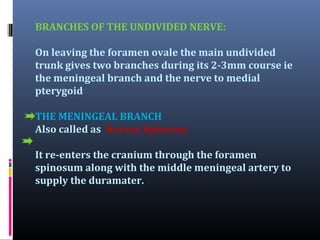 THE BUCCAL NERVE

 