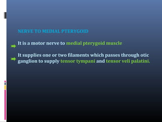 THE POSTERIOR DIVISION
Larger division
Mainly sensory
Divides into
Auriculotemporal
nerve

Lingual
nerve

Alveolar
nerve

 