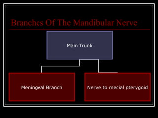 Branches Of The Mandibular Nerve

                     Main Trunk




  Meningeal Branch          Nerve to medial pterygoid
 