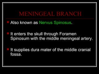 MENINGEAL BRANCH
   Also known as Nervus Spinosus.

   It enters the skull through Foramen
    Spinosum with the middle meningeal artery.

   It supplies dura mater of the middle cranial
    fossa.
 