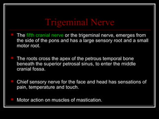 Trigeminal Nerve
   The fifth cranial nerve or the trigeminal nerve, emerges from
    the side of the pons and has a large sensory root and a small
    motor root.

   The roots cross the apex of the petrous temporal bone
    beneath the superior petrosal sinus, to enter the middle
    cranial fossa.

   Chief sensory nerve for the face and head has sensations of
    pain, temperature and touch.

   Motor action on muscles of mastication.
 